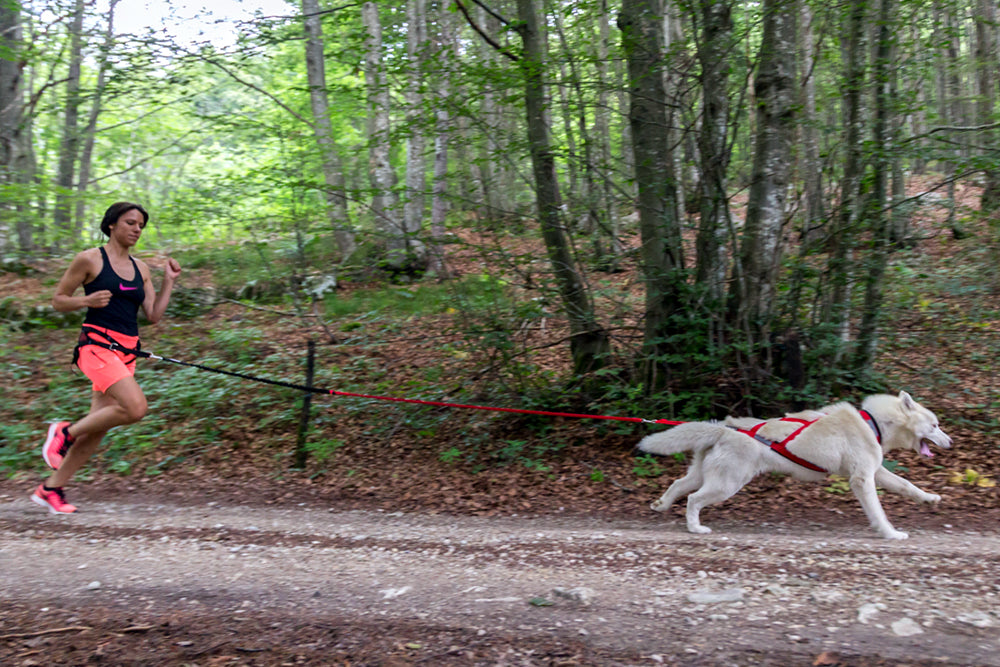 Racing Tug Line med Bungee