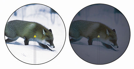 Accupoint 3-9x40