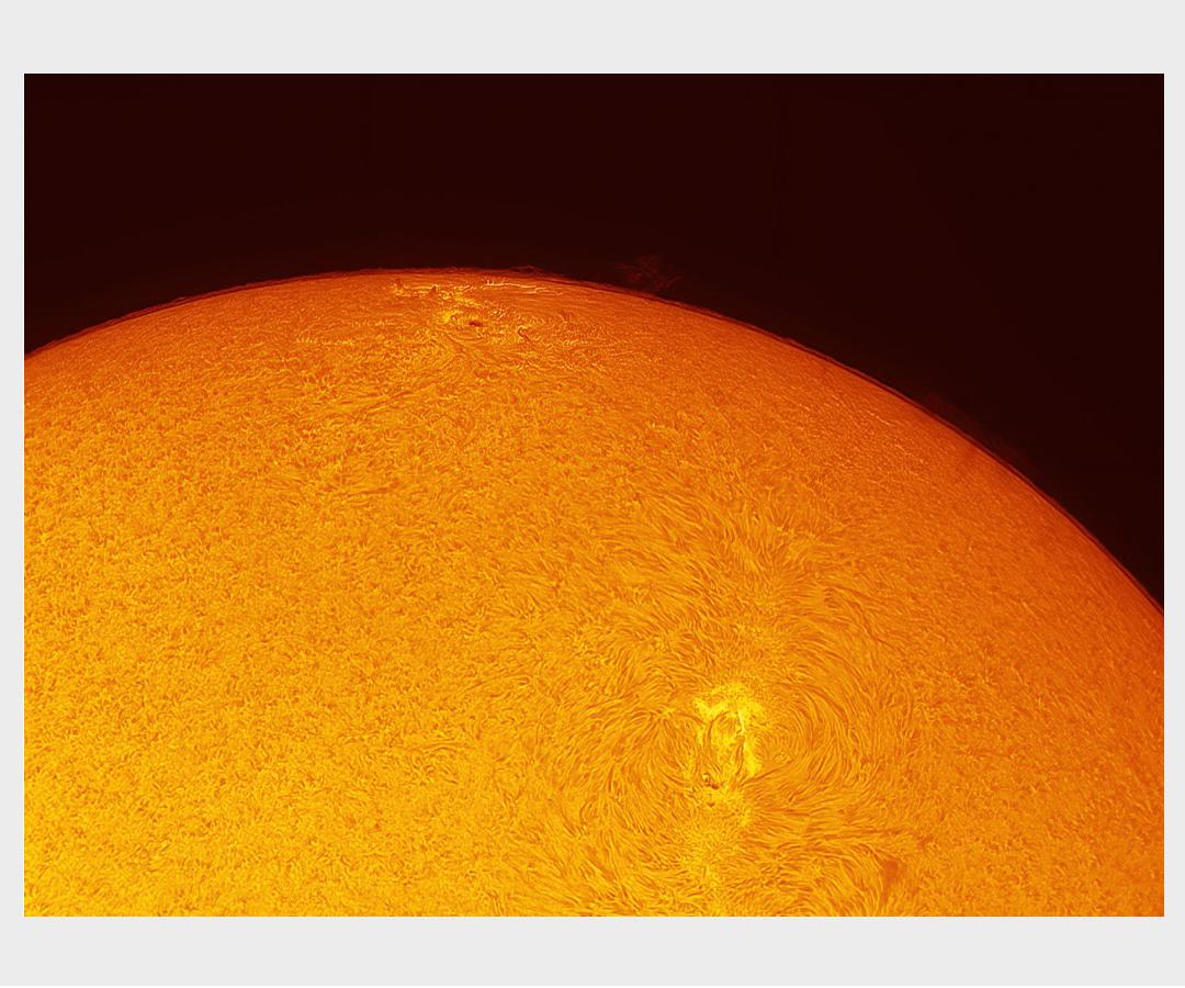 ZWO ASI432MM Mono USB3.0 Astro Kamera 1 ST