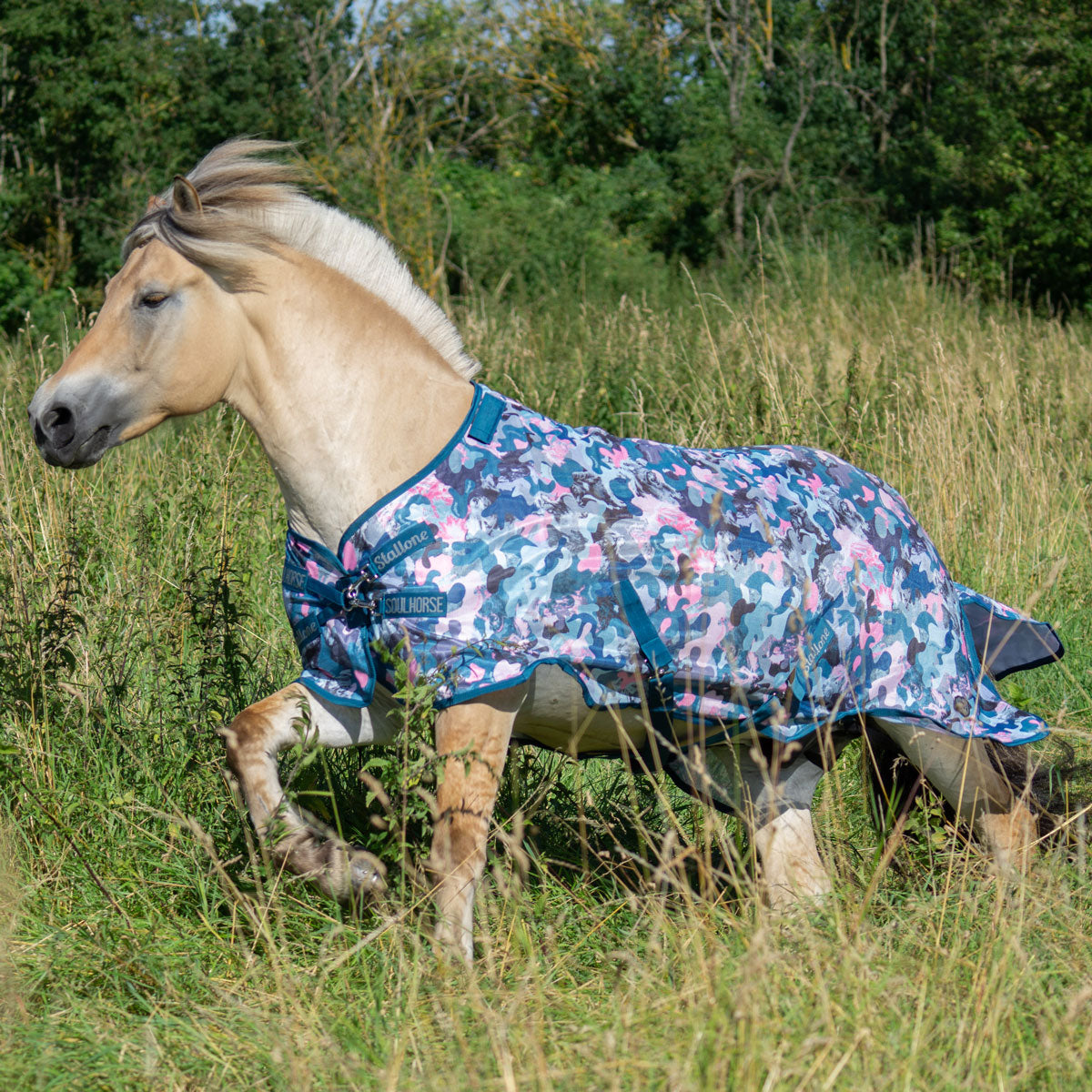 Flugtäcke Flybuster Crazy Connection BLUE/PETROL/ROSE / 105 CM