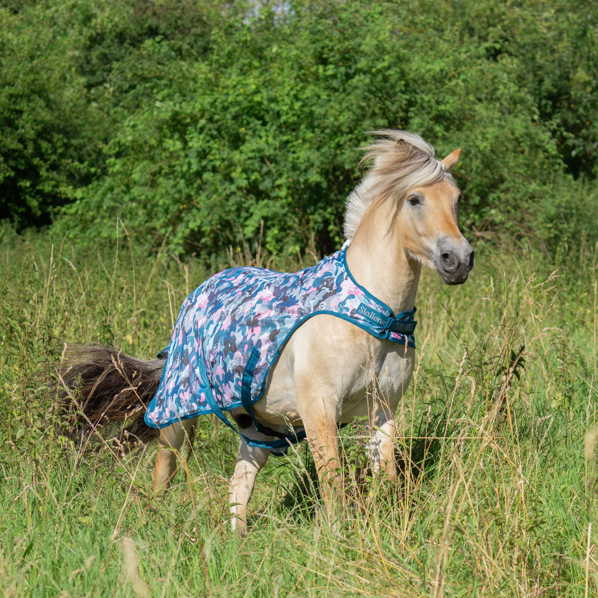 Walker-Flugtäcke Crazy Connection BLUE/PETROL/ROSE / 105 CM