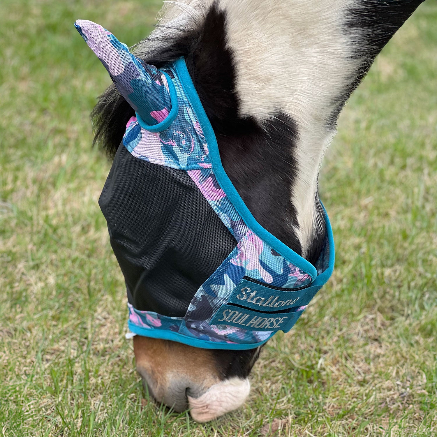 Flughuva Flybuster Crazy Connection BLUE/PETROL/ROSE / S