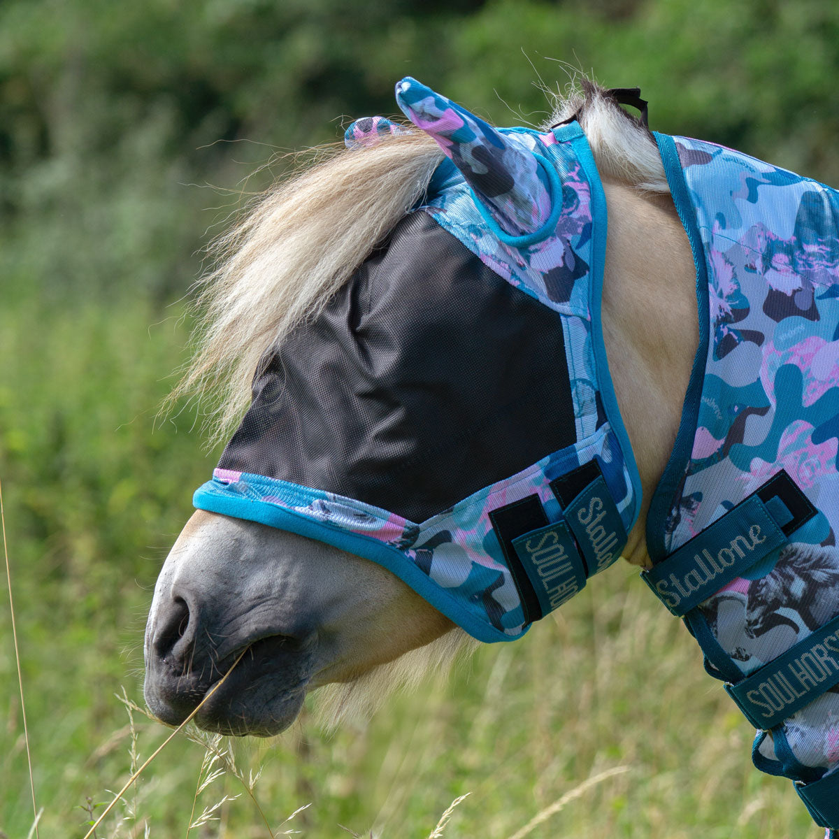 Flughuva Flybuster Crazy Connection BLUE/PETROL/ROSE / S