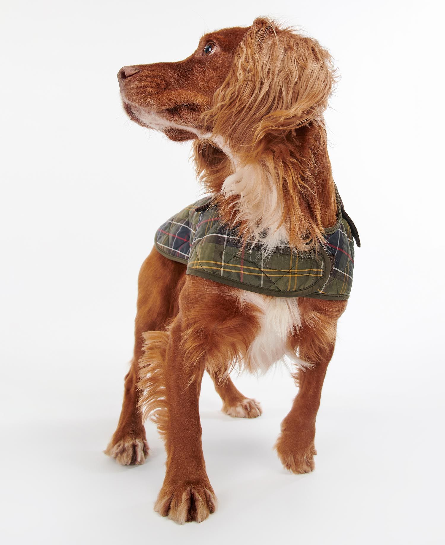 Tartan Dog Coat CLASSIC / S