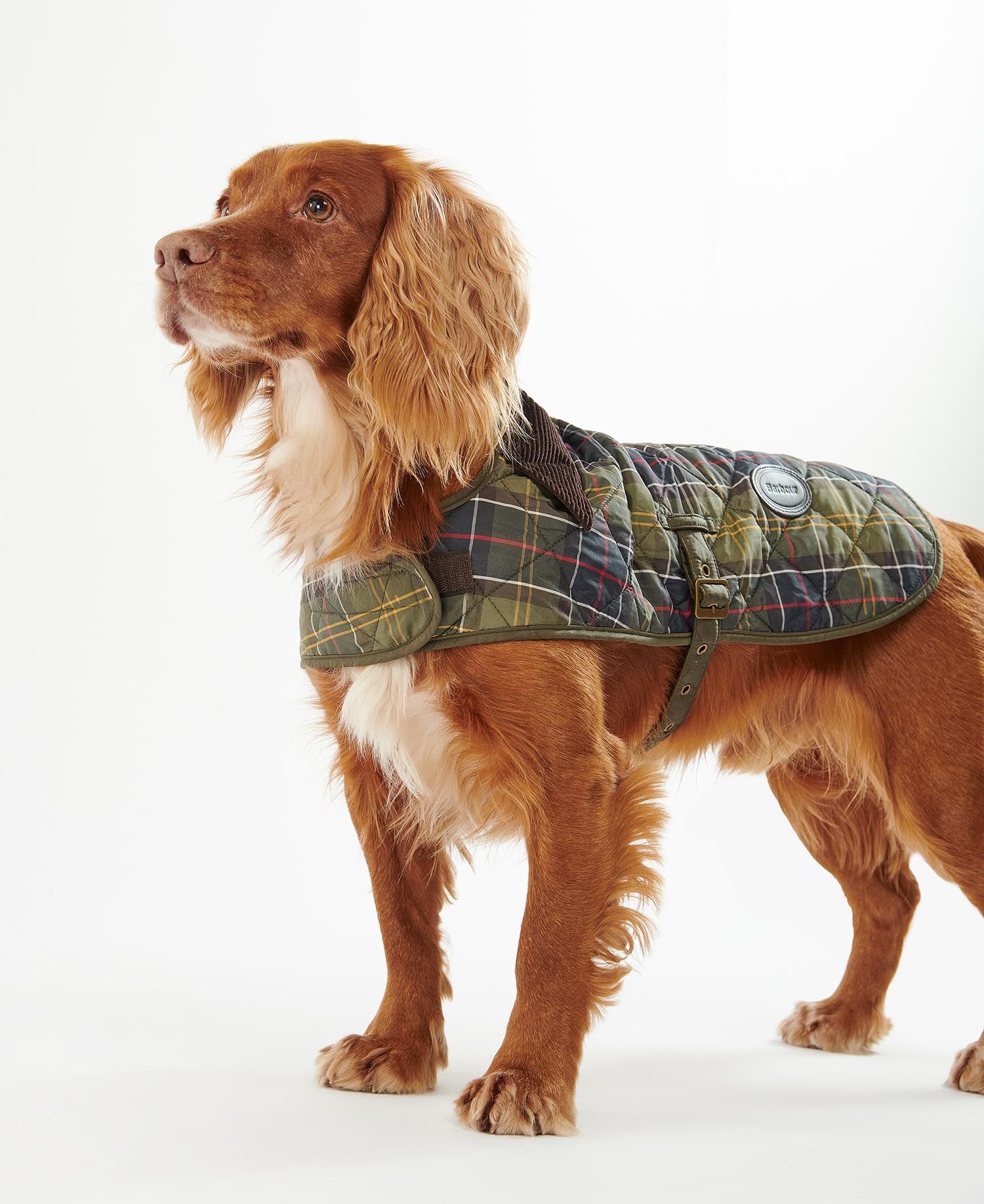 Tartan Dog Coat CLASSIC / S