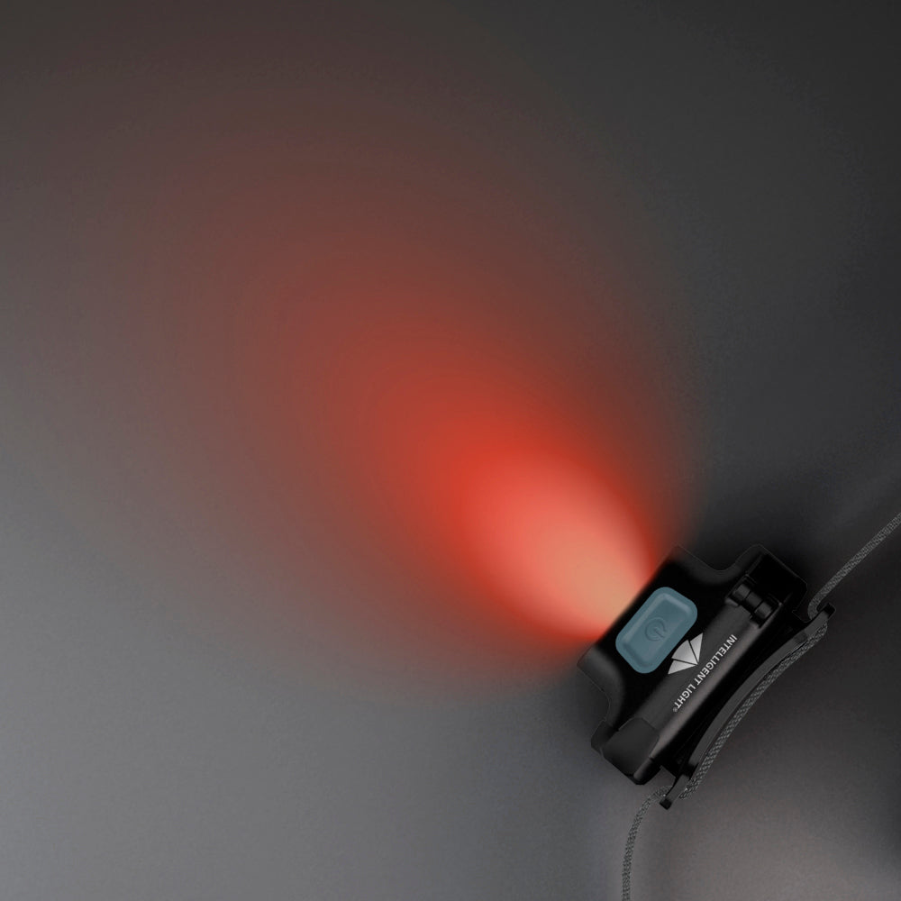 Headlamp Scout 3XT 350 lumen ONE SIZE