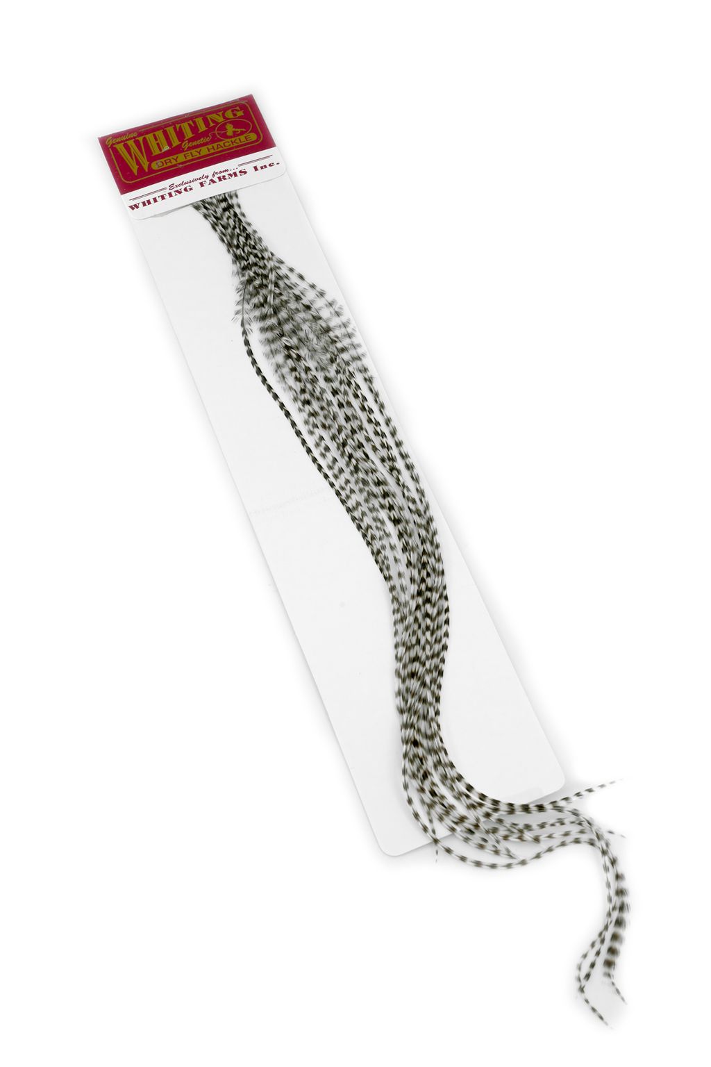 100 Pk GRIZZLY DYED OLIVE / #16