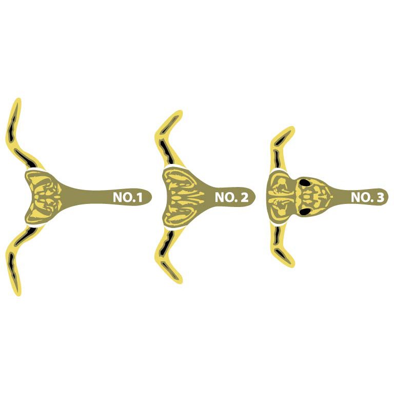 Pro Stonefly Kits BLACK / SMALL