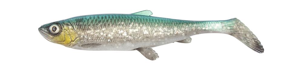 3D Herring Shad 25cm HERRING / 25 CM / 102 GRAM