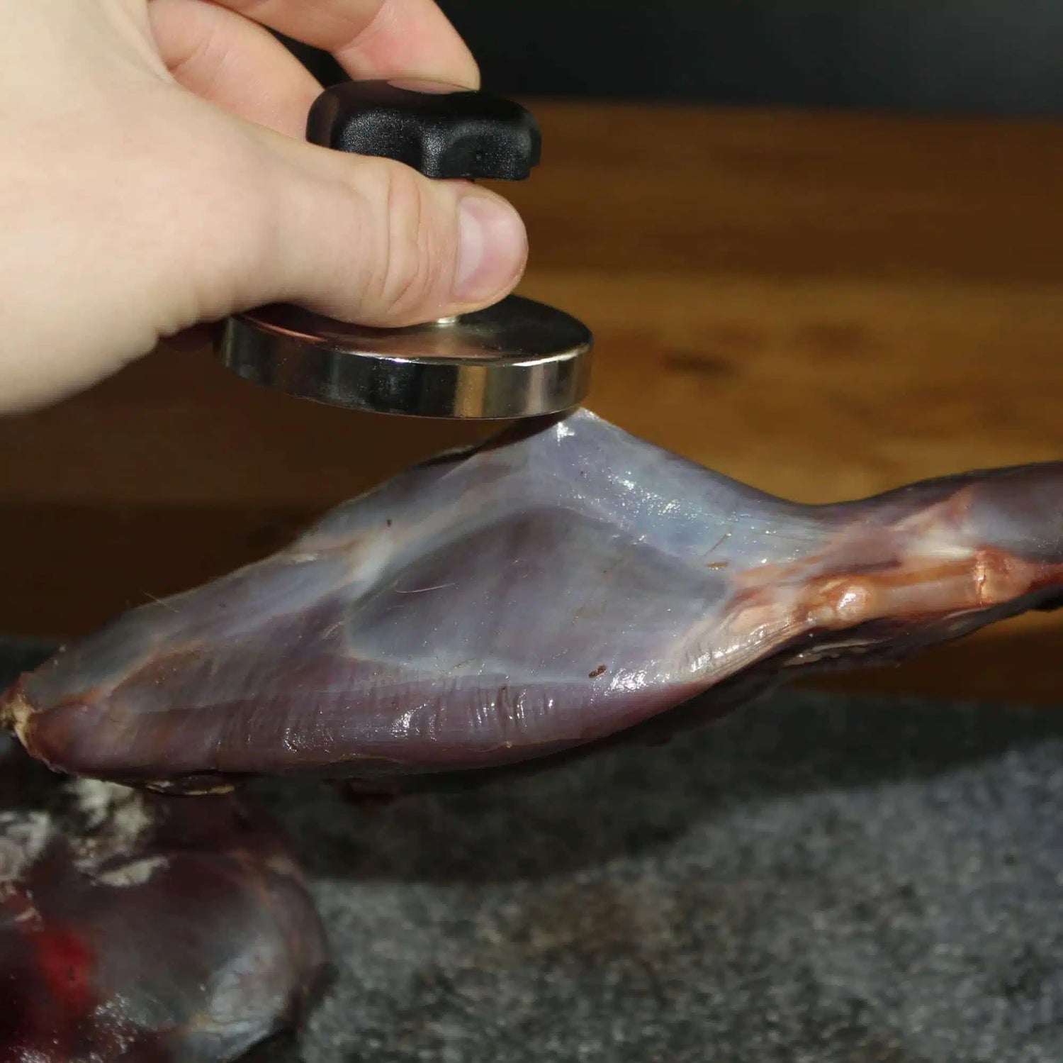 Jägarmagnet för stålhagel, 3.0 EN STL