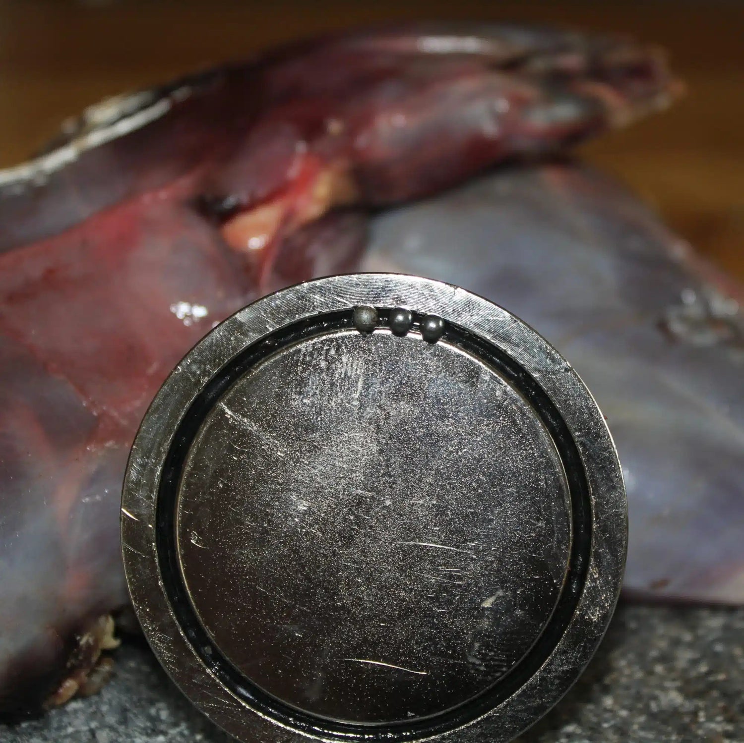 Jägarmagnet för stålhagel, 3.0 EN STL