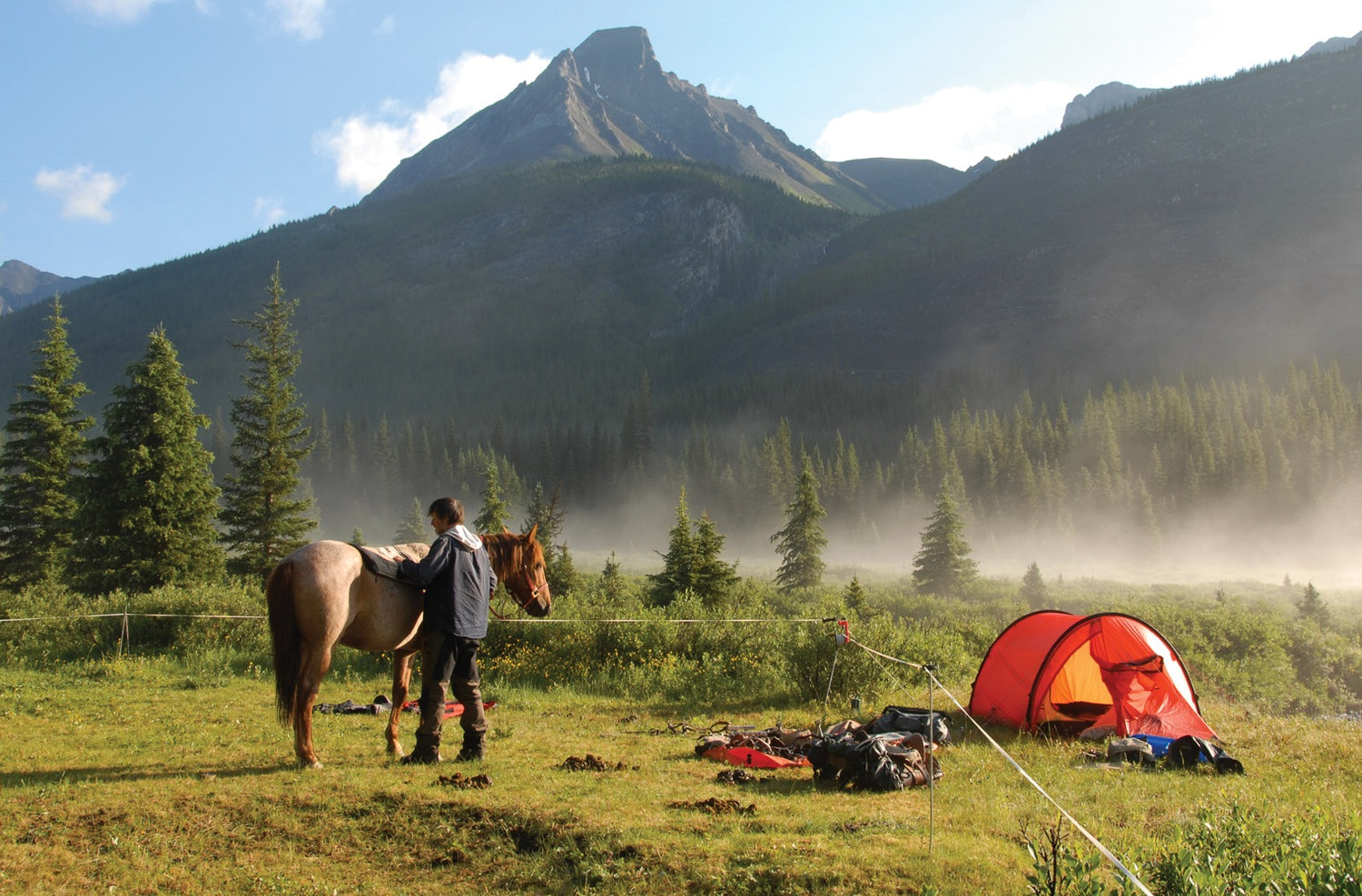 Nammatj 2 tält GREEN / EN STL