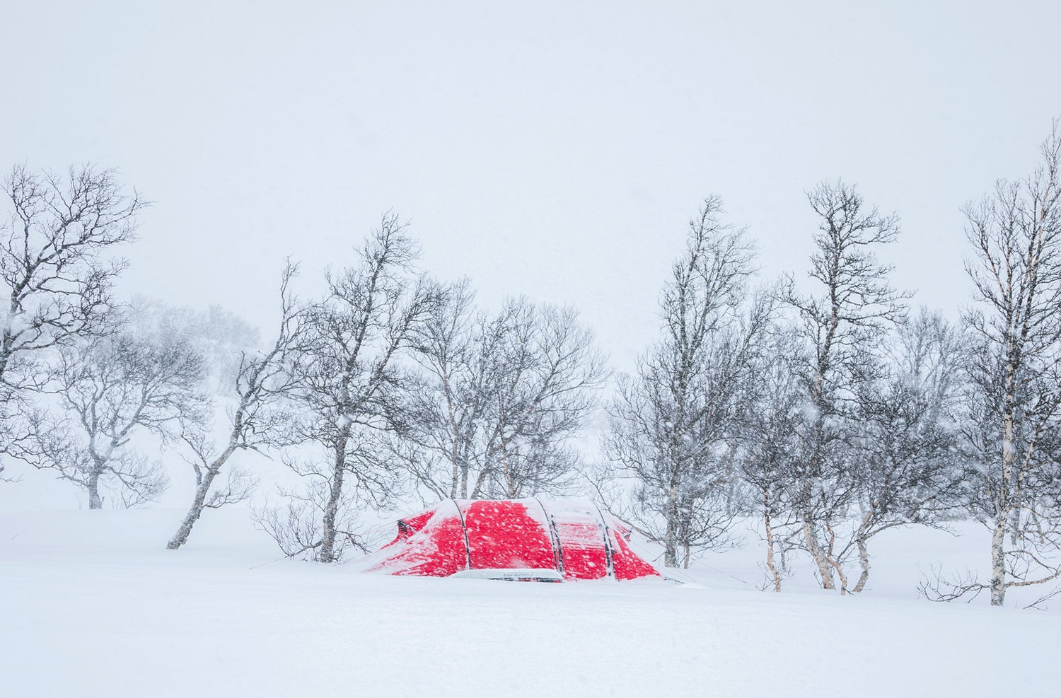 Nammatj 2 GT tält GREEN / EN STL