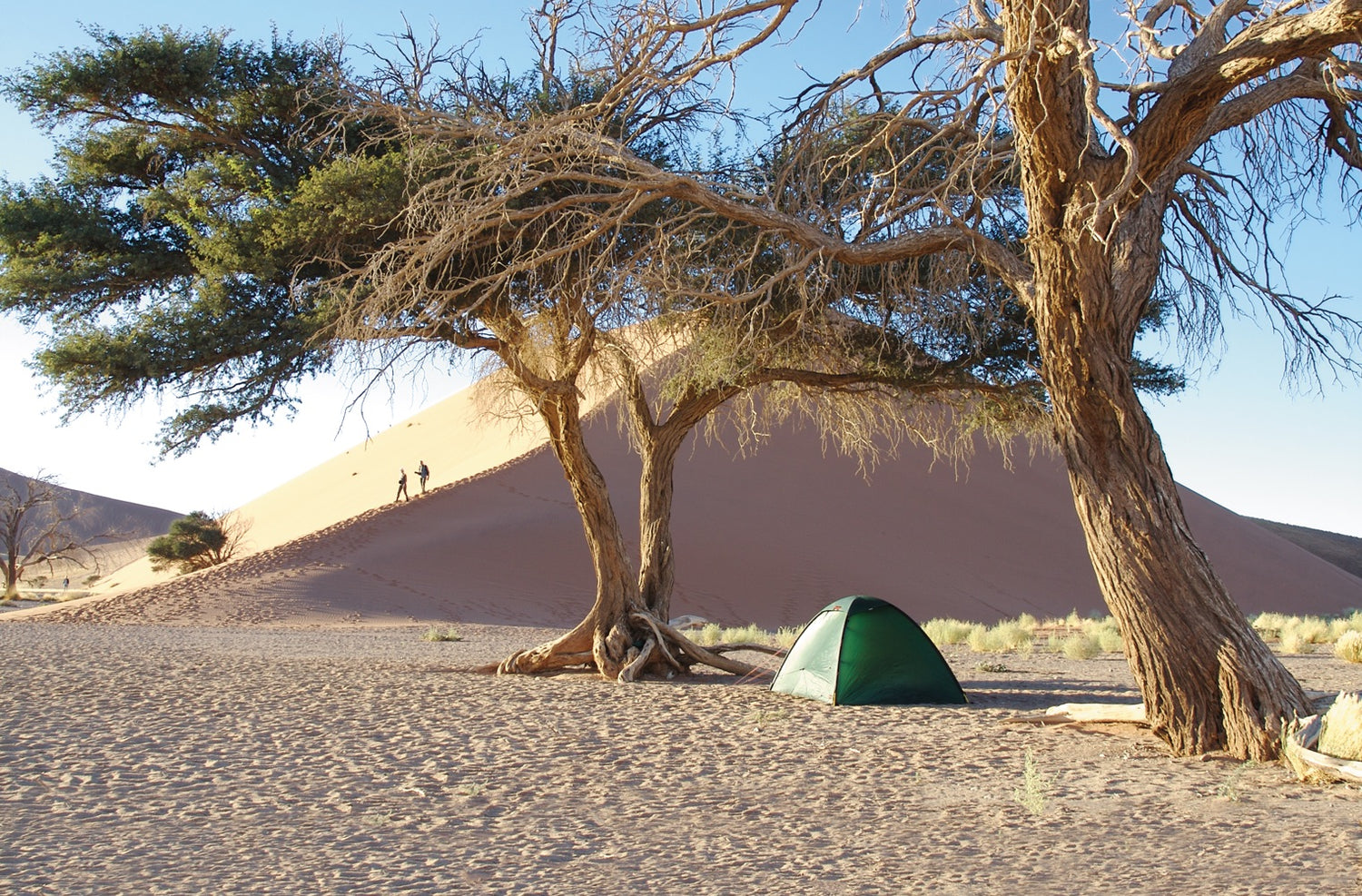 Unna tält GREEN / EN STL