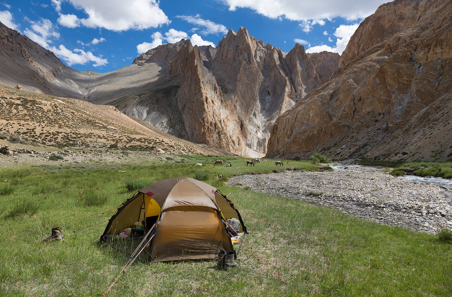 Allak 3 tält GREEN / EN STL