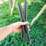 Haven Carbon Fiber Bars 2 Pack STANDARD