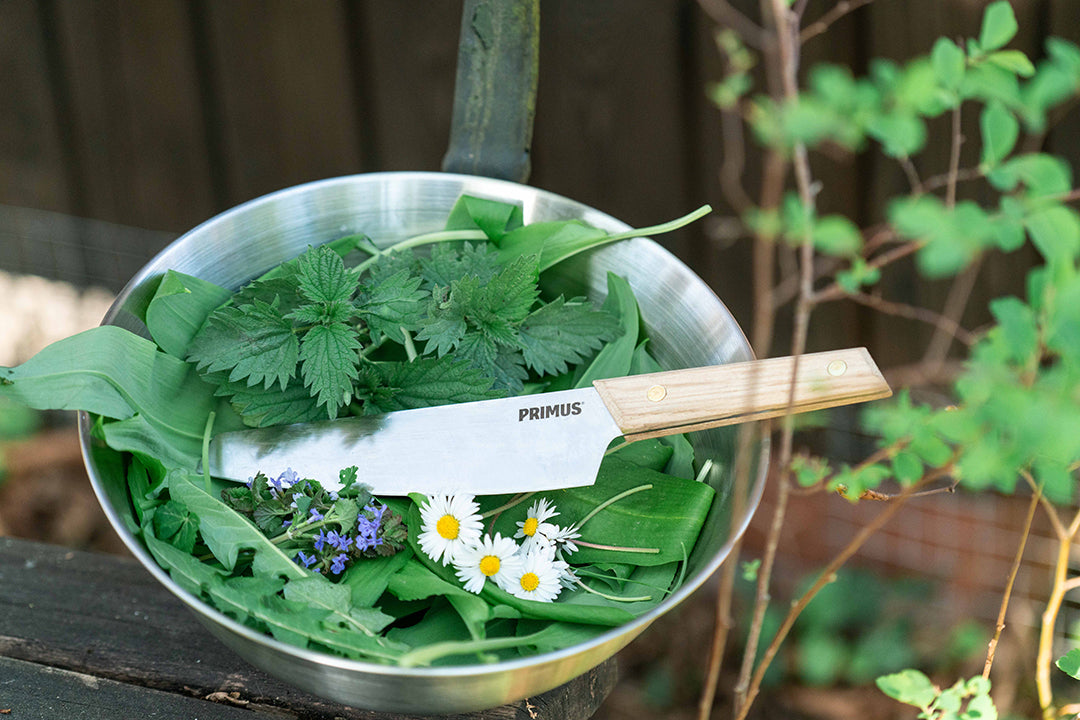 CampFire Bowl STAINLESS / S
