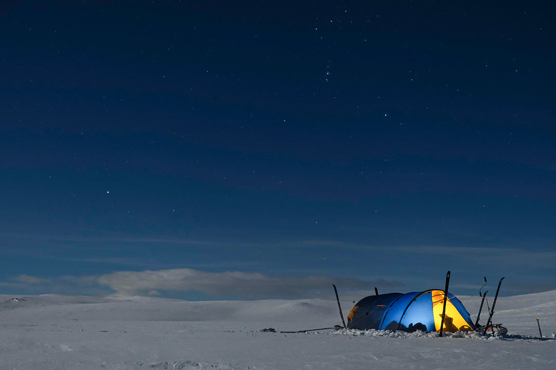 Arctic 3 Polar (2025) BLUE/ORANGE / ONE SIZE