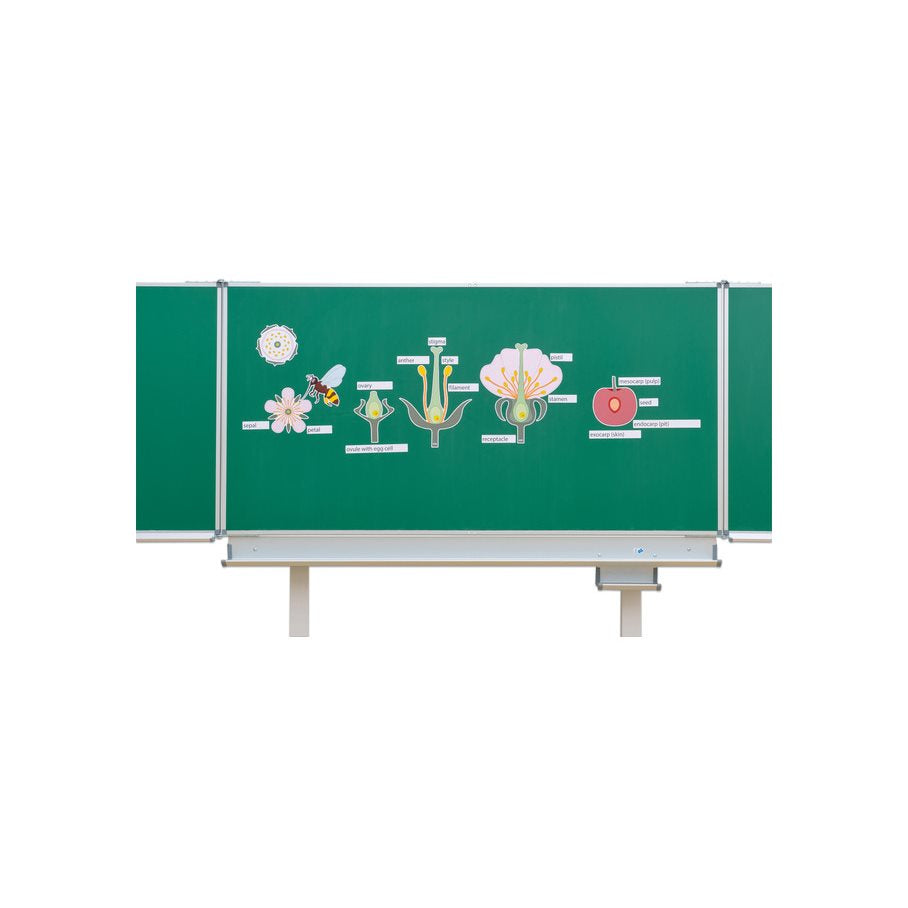 Från Blomma Till Frukt - Magnetiskt EN STL