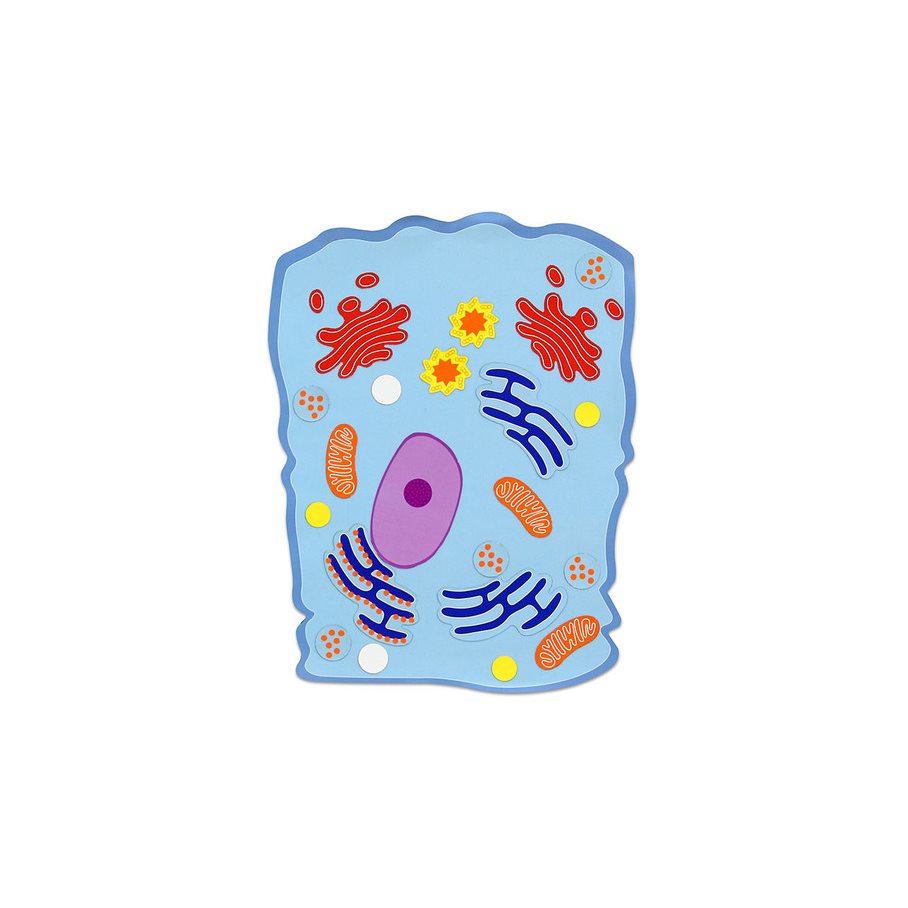 Djurcell - Magnetisk EN STL