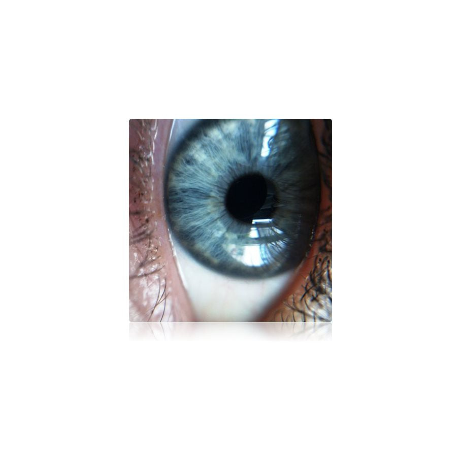 130 Grader Vidvinkel + makro Till Mobilkamera EN STL