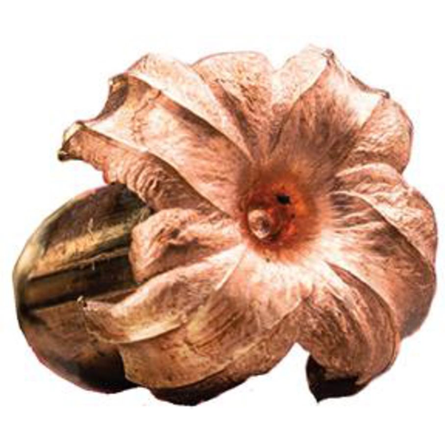 Extreme Point Lead Free .308 WIN / 150 GR / 9.7 G / 20 ST