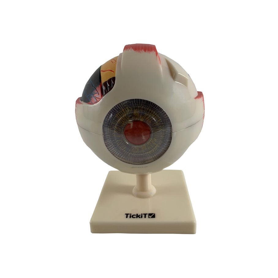 Öga - förstorat 4x EN STL