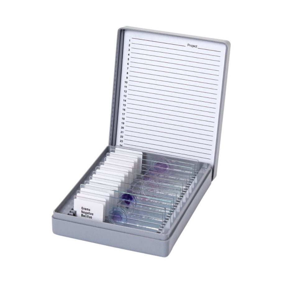 Bakterier - Mikroskoppreparat - 12 st EN STL