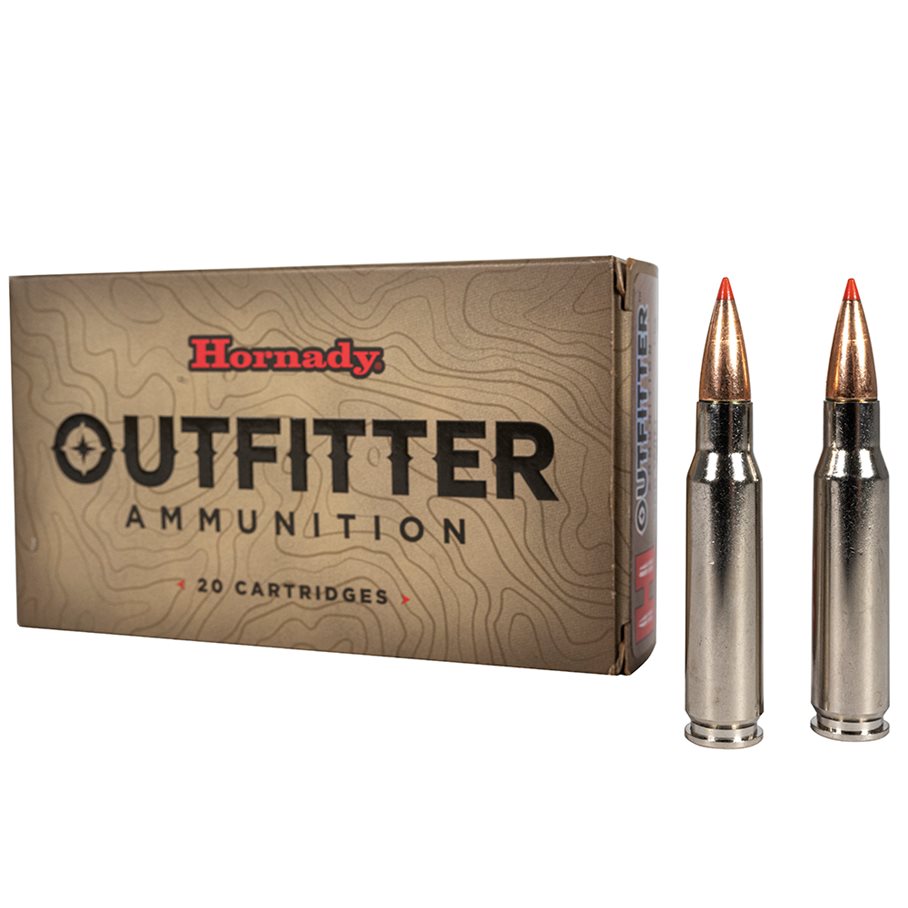 Outfitter .308 WIN / 165 GR / 10.7 G / 20 ST