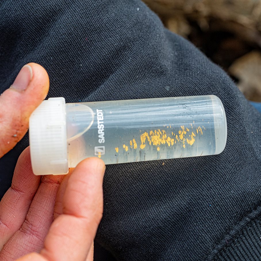 Vaskränna för guld, både nuggets och mikroguld EN STL