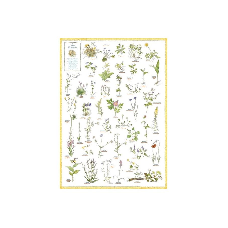 Blommor - Plansch EN STL