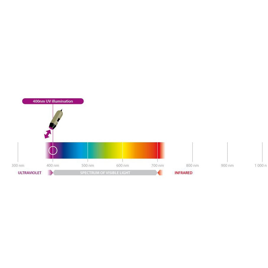 USB, UV400 nm-LEDs - AM4113FVT EN STL