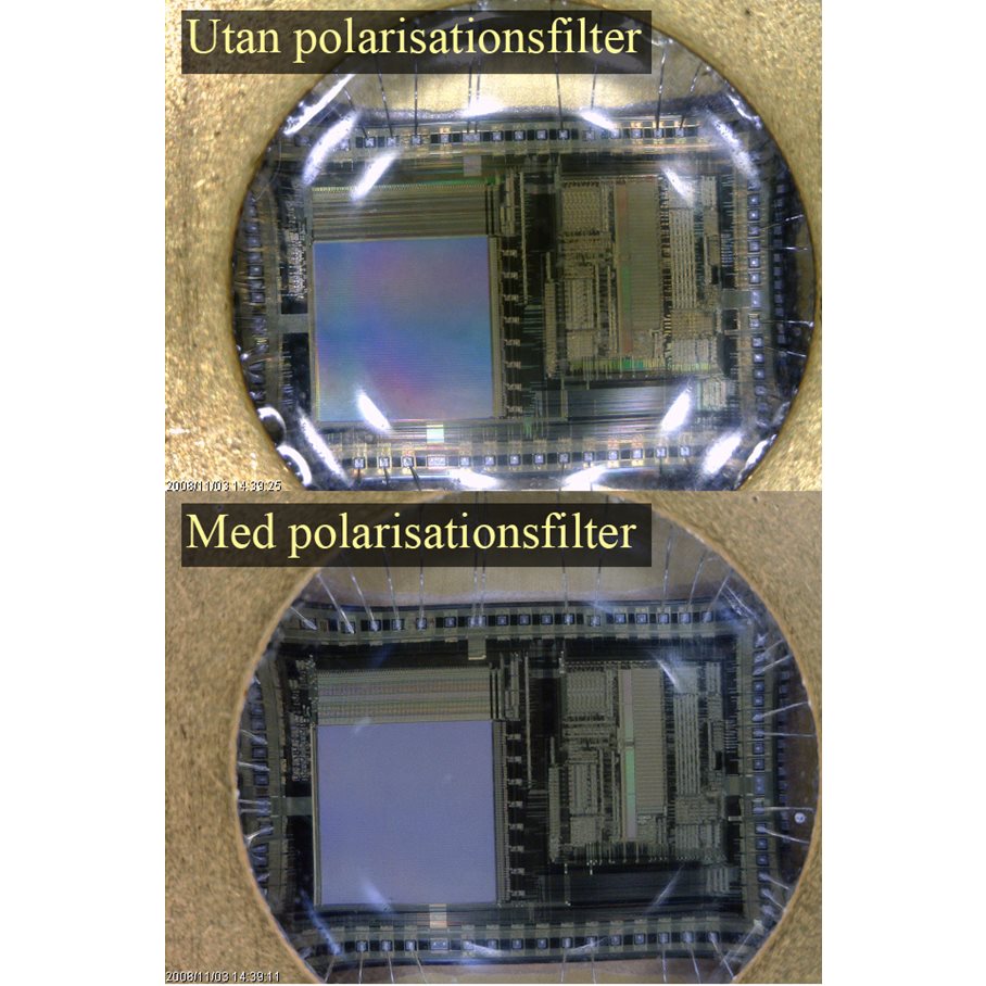 Polarisationsmikroskop - AM4115ZTW Edge EN STL