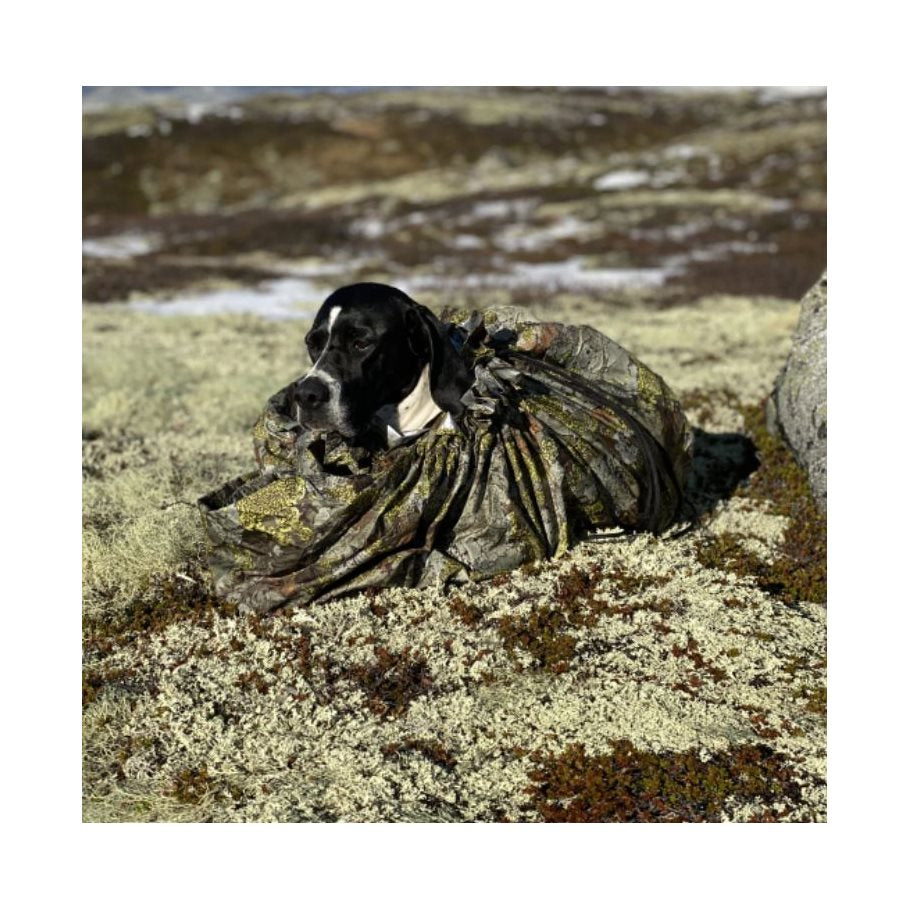 För Hund upp till 40 kg Mountain EN STL