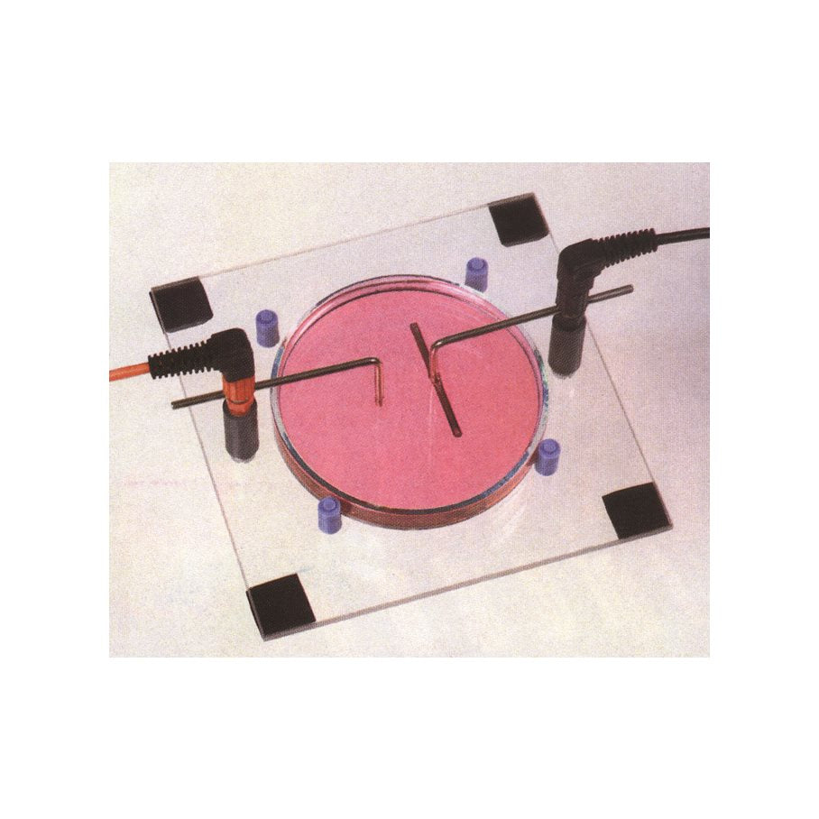 Elektriska Fält EN STL