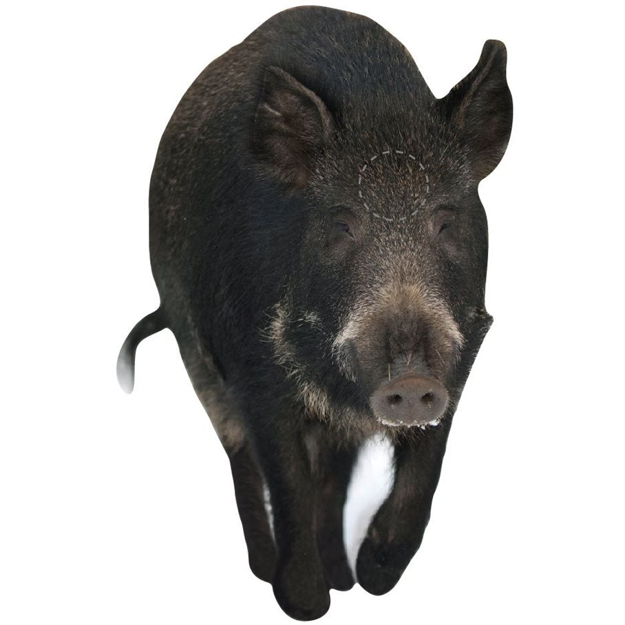 Vildsvinsfront sugga, ej ringad, 3,5 mm kanalplast EN STL