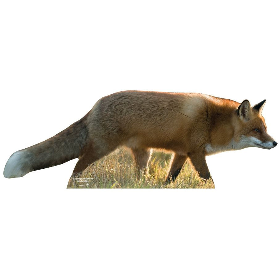 Räv sida Höger EN STL