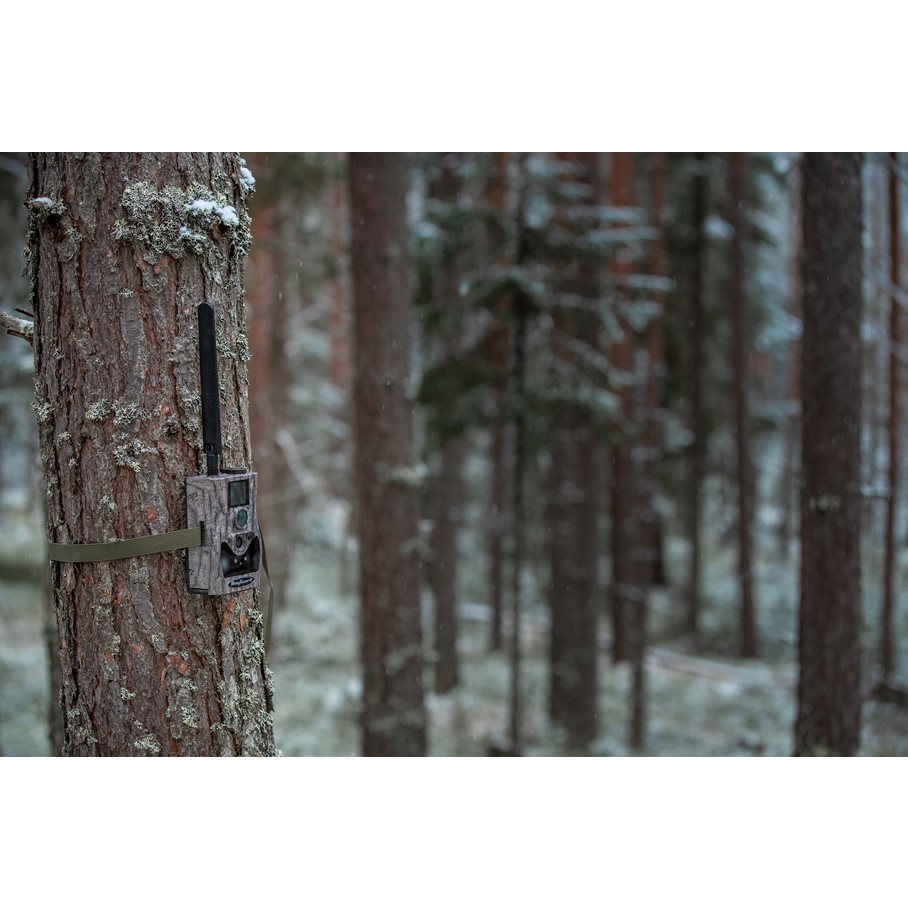 584 4 g 24 MP Viltkamera EN STL