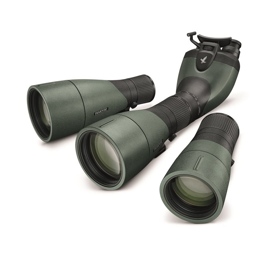 BTX Okularmodul EN STL