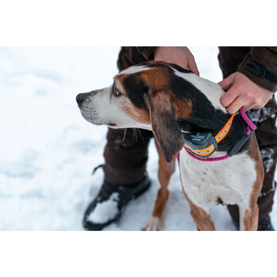 Artemis Easy GPS inkl SIM 1 år EN STL