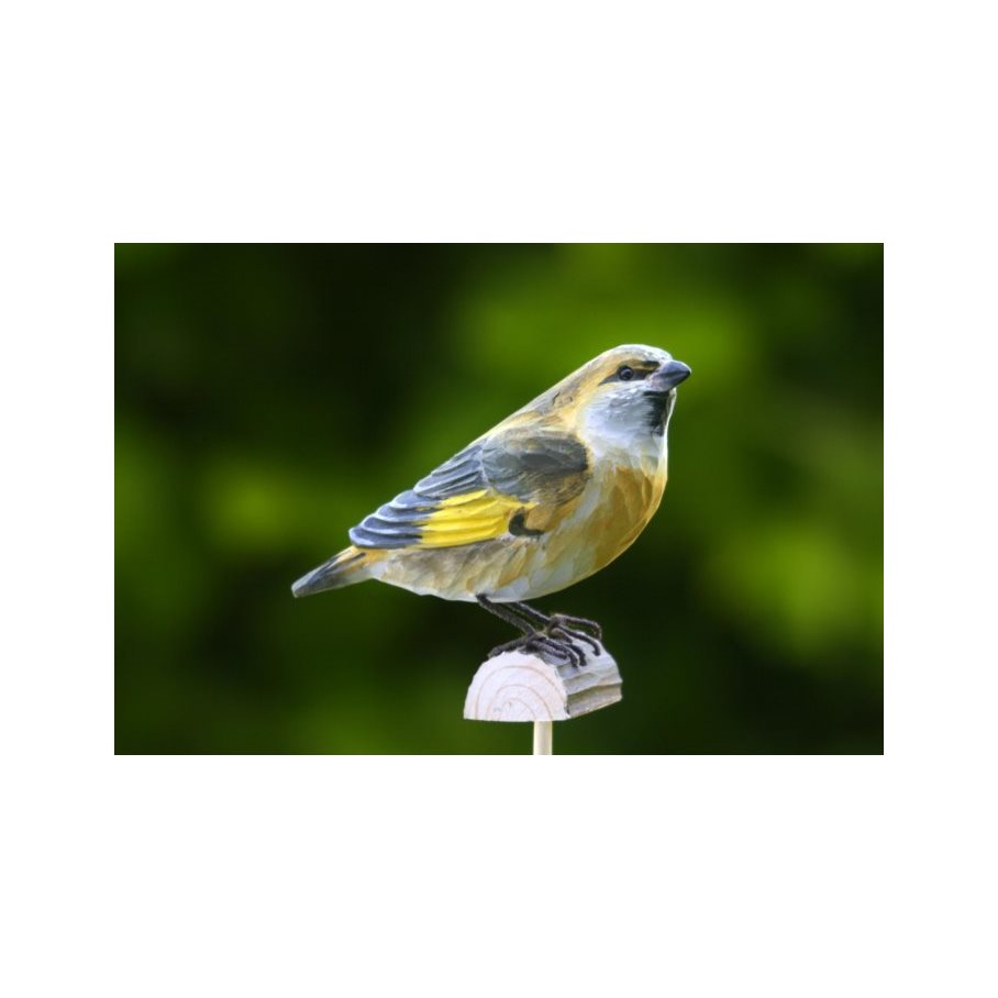 DecoBird Grönfink EN STL