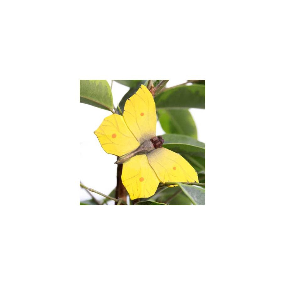 Fjäril - Citronfjäril EN STL