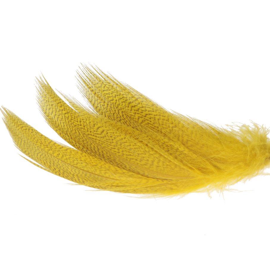 Mallard Barred Select GUL / EN STL