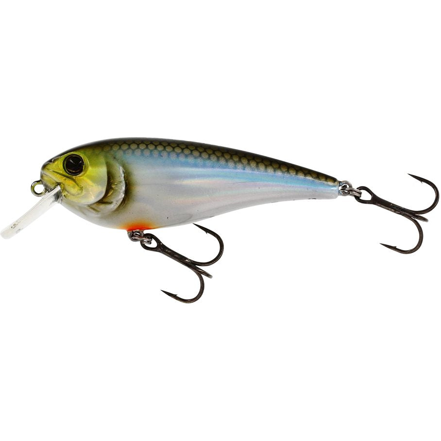 Rawbite 12 g Wobbler HERRING / EN STL