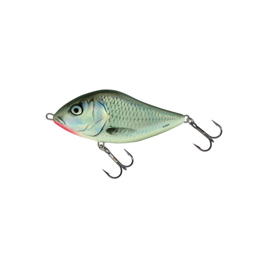 Slider 5 cm ORANGE PARROT / EN STL