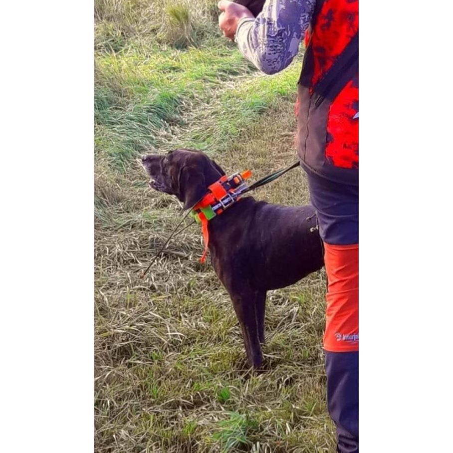 Halsband För 2 GPS L