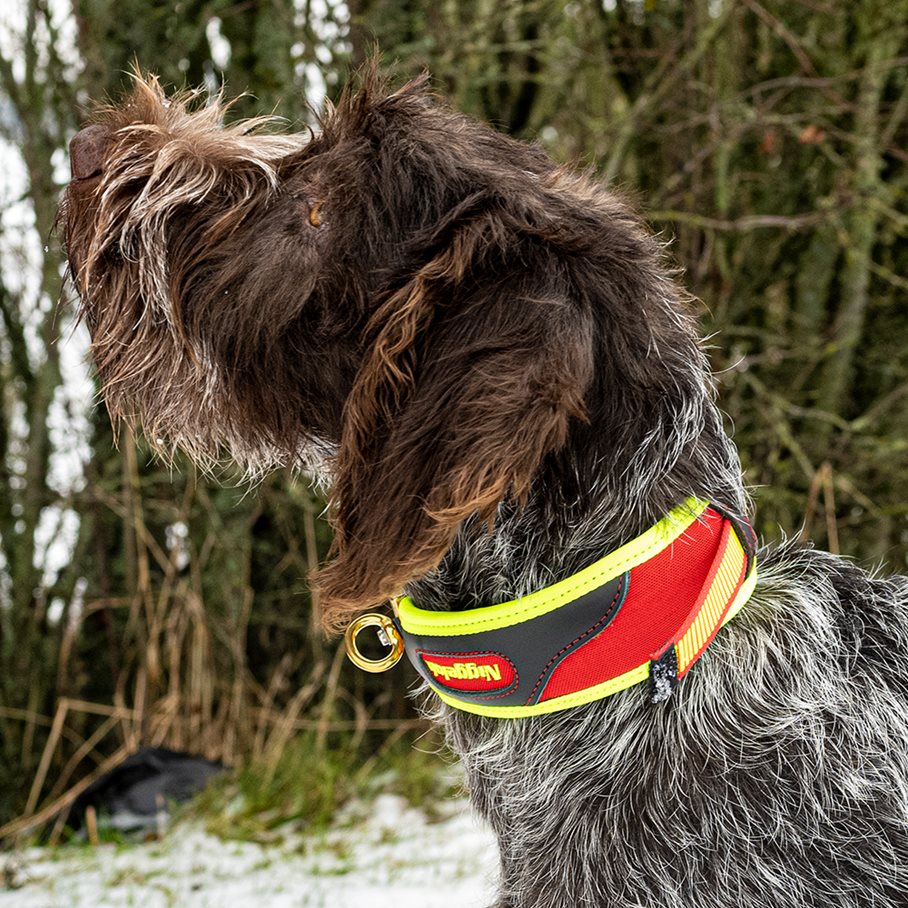 Trail Spårhalsband Röd och Gul Snabbkoppling M