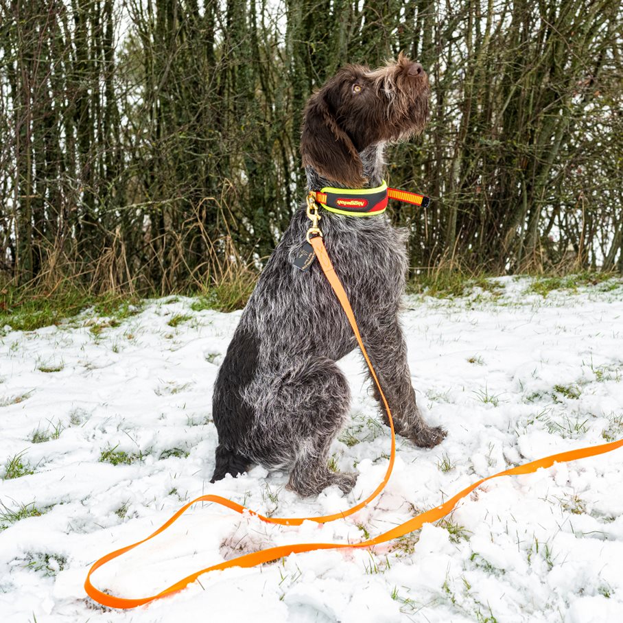 Trail Spårhalsband Röd och Gul Snabbkoppling M