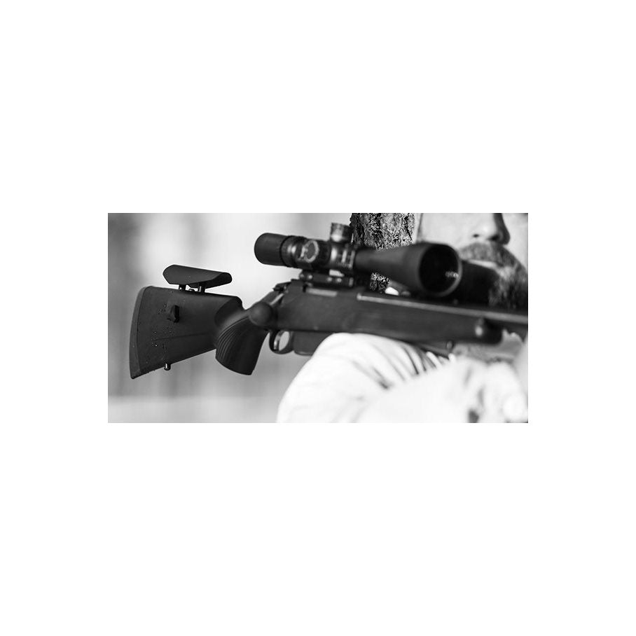 CR1 Justerbar Kolvkam BLASER R8