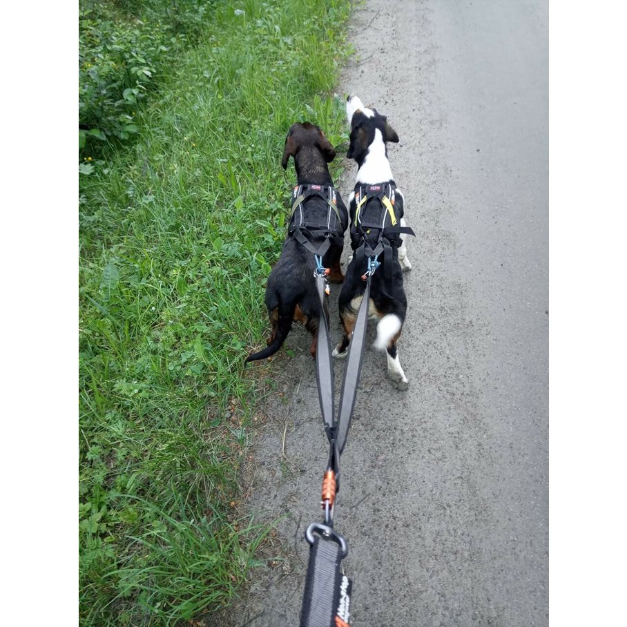 Freemotion Dragsele STORLEK #4 - NACKOMKRETS: 33-36 CM